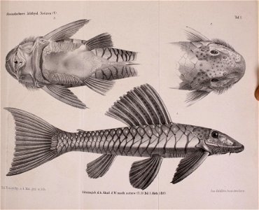 n108_w1150