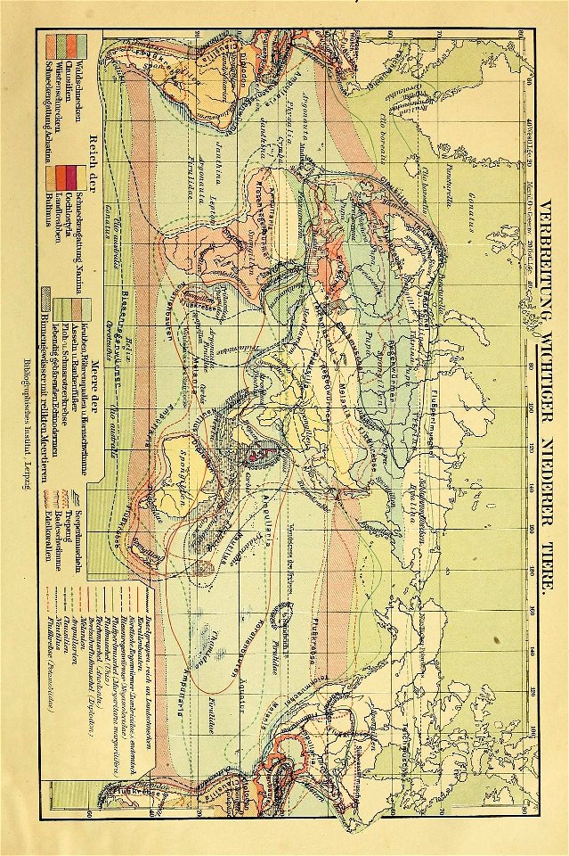n884_w1150