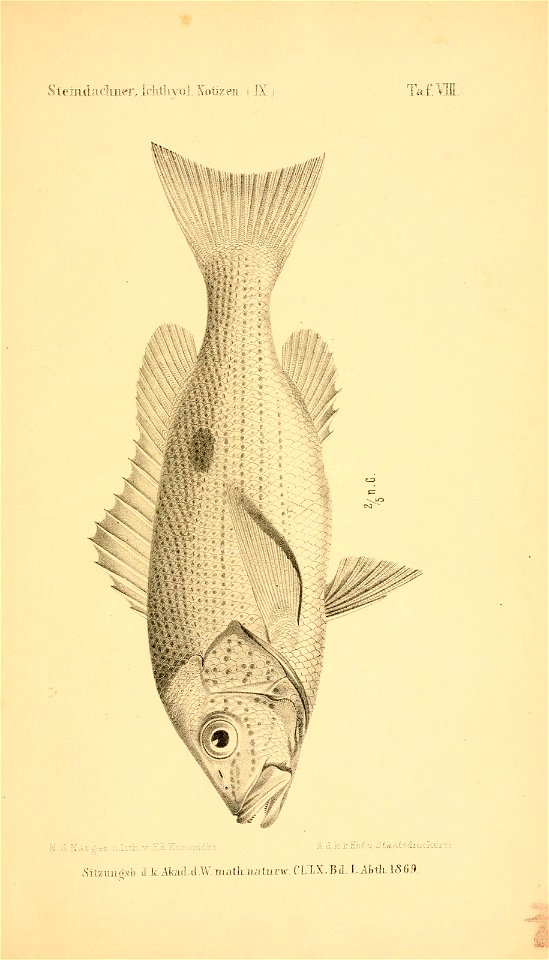 n348_w1150