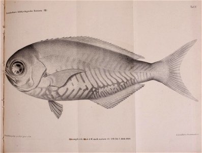 n256_w1150