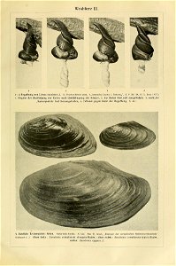 n682_w1150