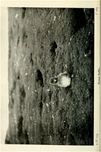 n425_w1150