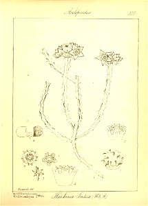 n81_w1150
