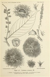 n102_w1150