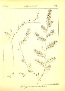 n58_w1150