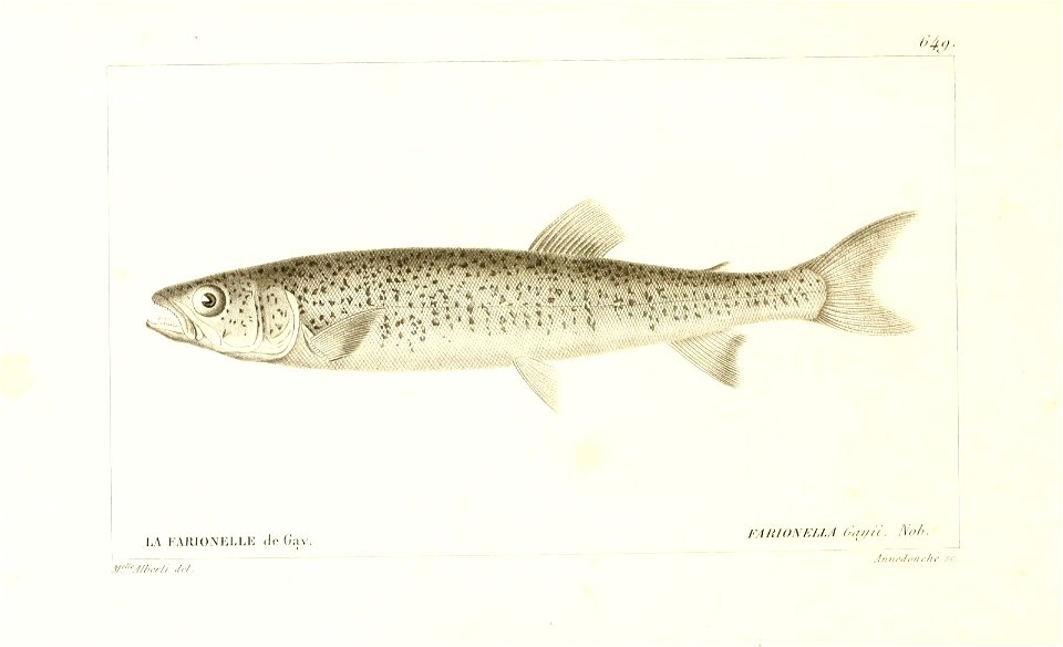 n302_w1150