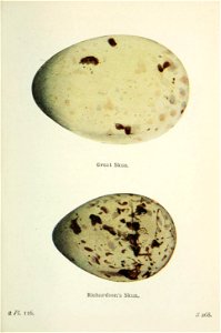 n396_w1150