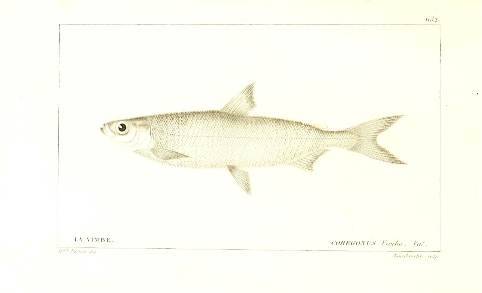 n270_w1150