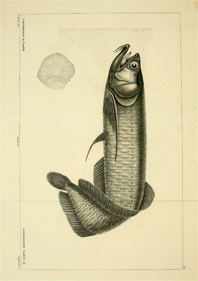 n148_w1150