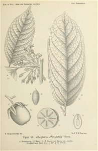 n168_w1150