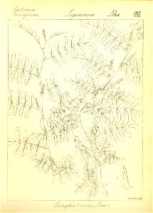 n91_w1150