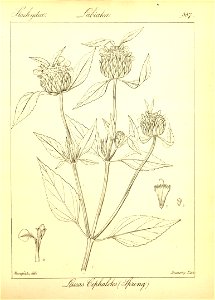 n63_w1150