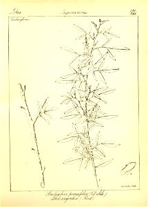 n57_w1150