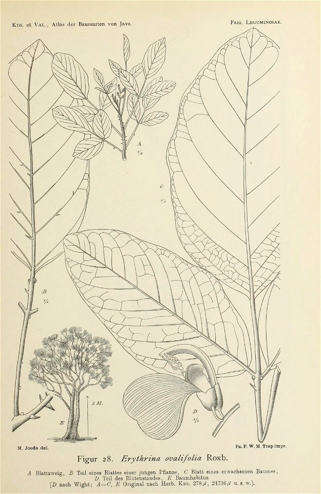 n82_w1150