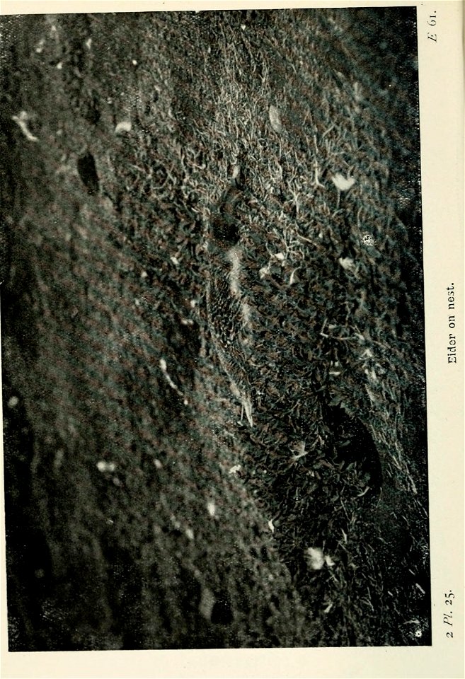 n97_w1150