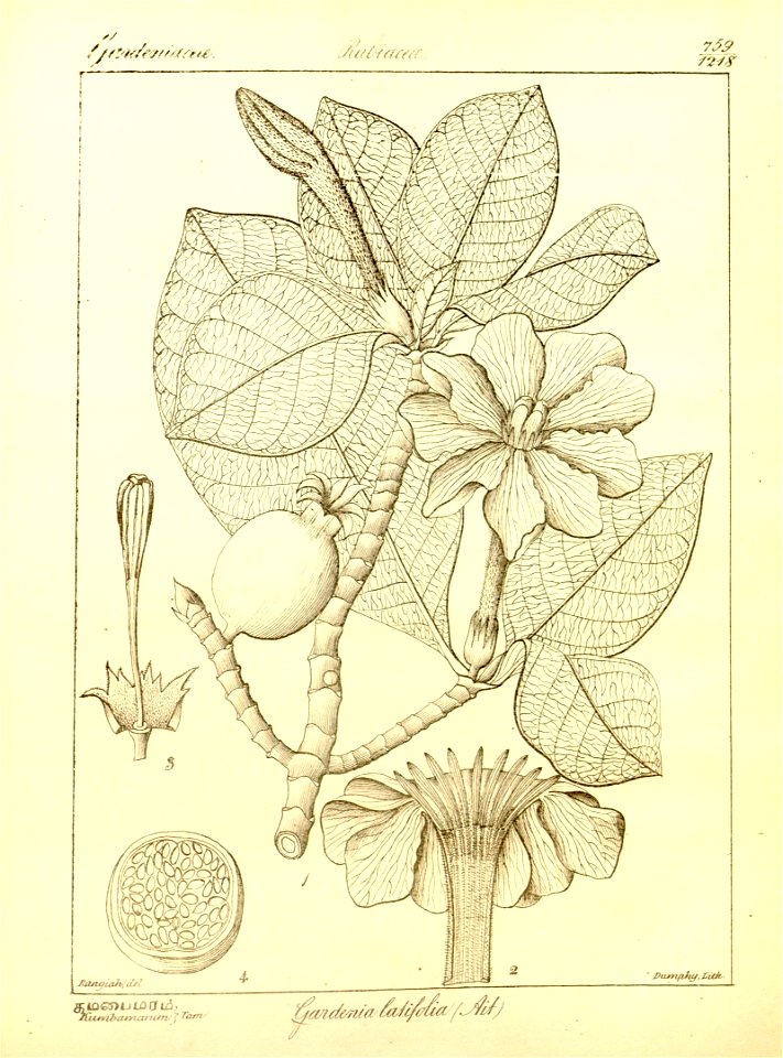 n83_w1150