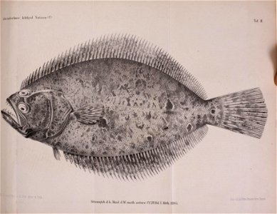 n112_w1150