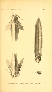 n84_w1150