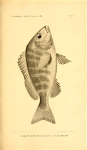 n284_w1150