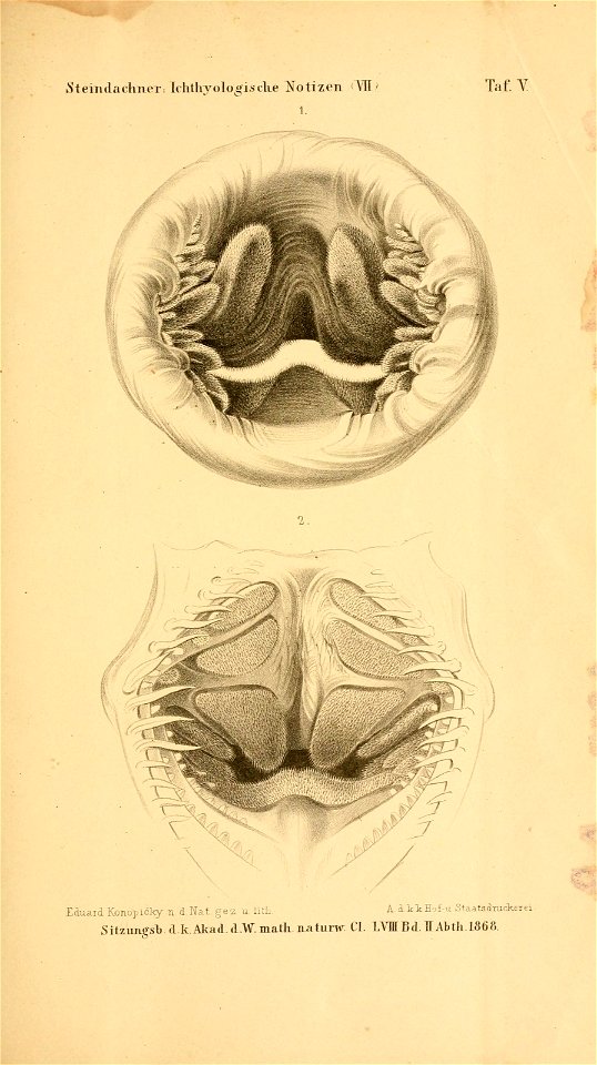 n258_w1150