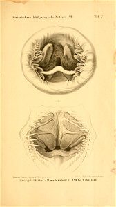 n258_w1150