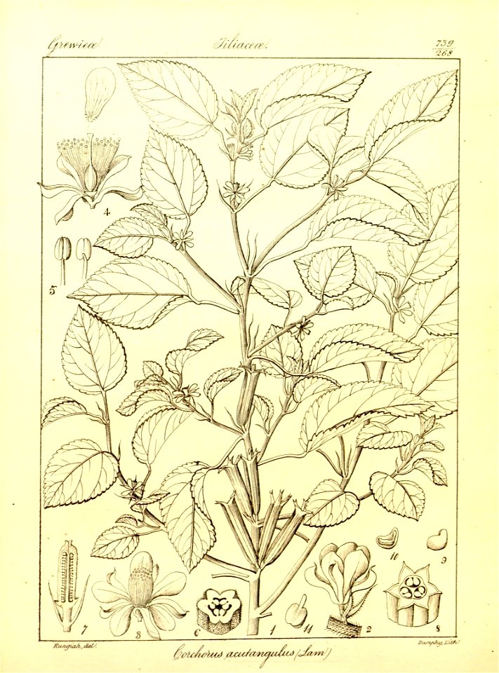 n63_w1150