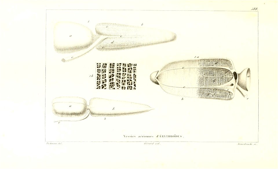 n182_w1150