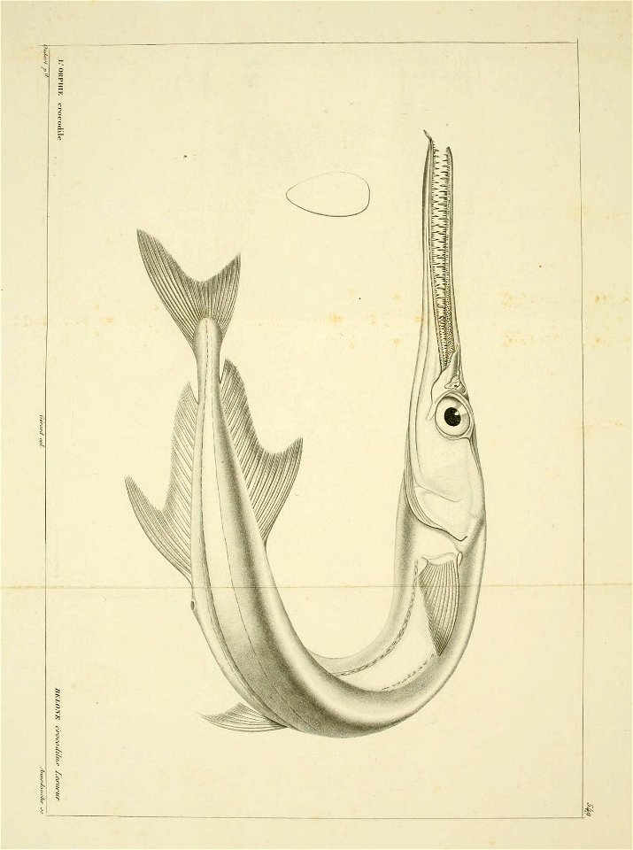 n104_w1150