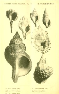 n419_w1150