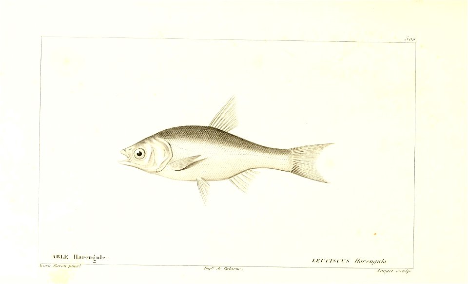 n12_w1150