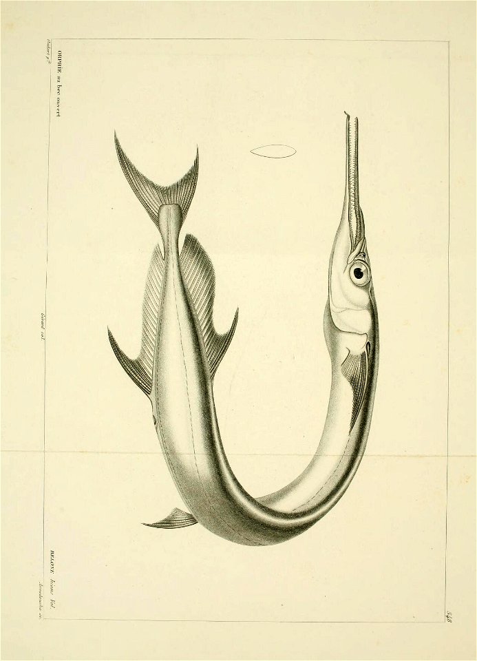 n102_w1150