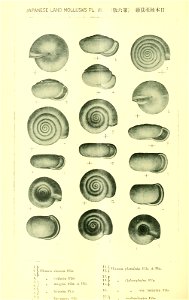 n307_w1150