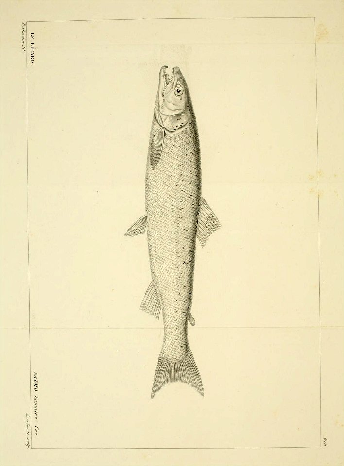 n236_w1150