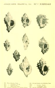 n633_w1150