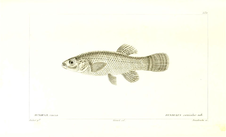 n68_w1150