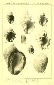 n167_w1150