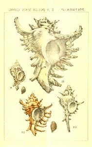 n63_w1150