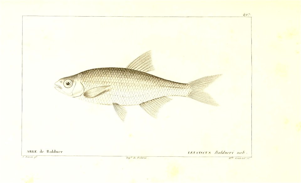 n6_w1150