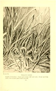 n126_w1150
