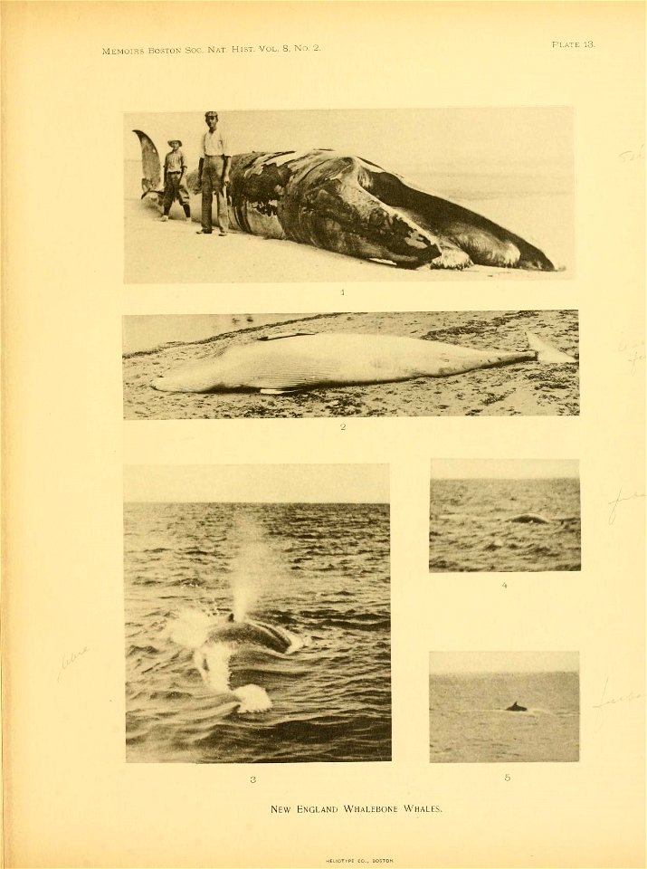 n178_w1150