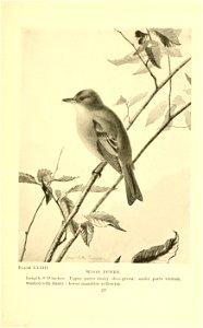 n178_w1150
