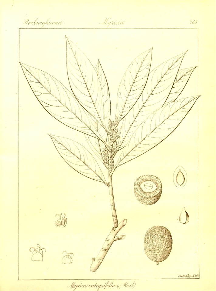 n89_w1150