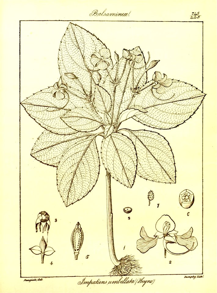 n69_w1150