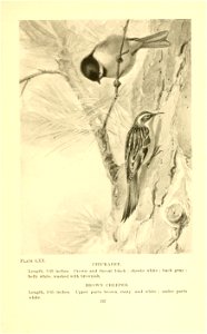 n268_w1150
