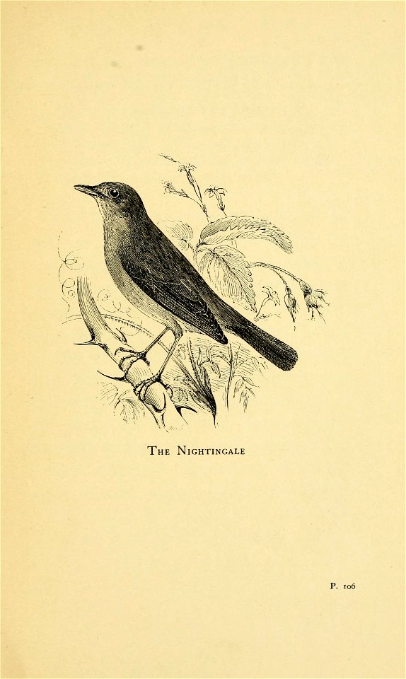 n164_w1150