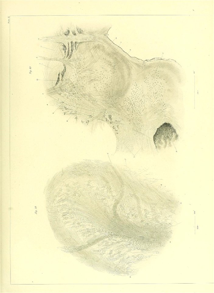 n122_w1150