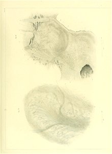 n122_w1150