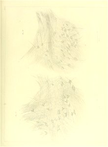 n120_w1150