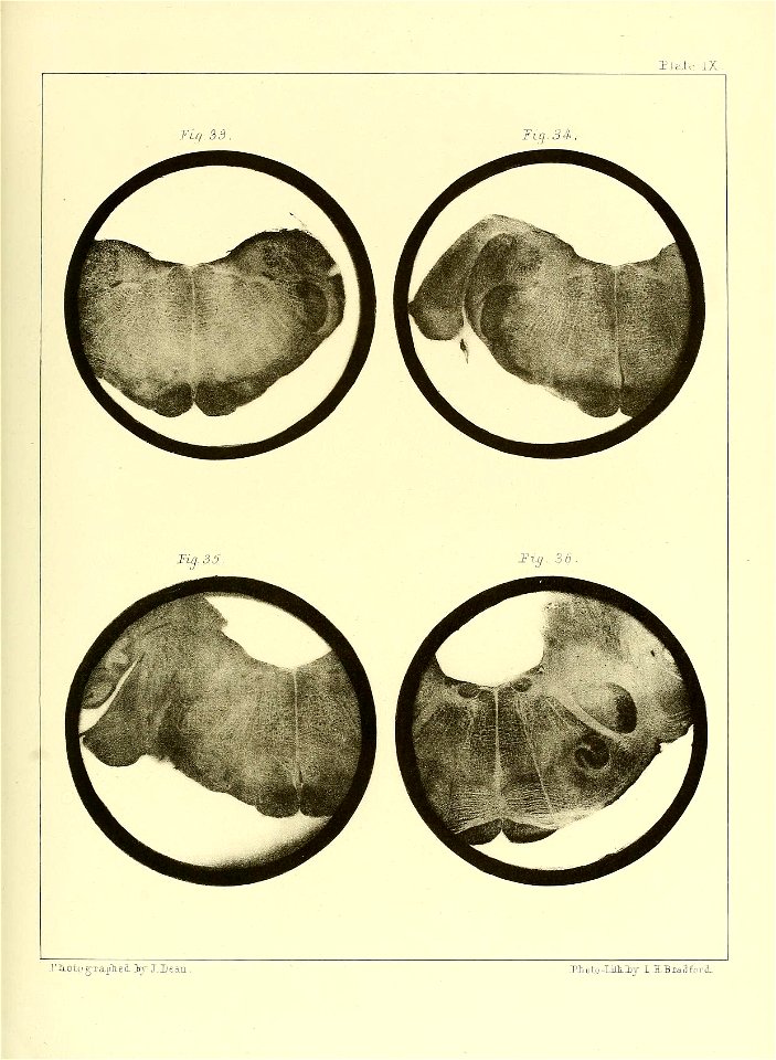 n118_w1150