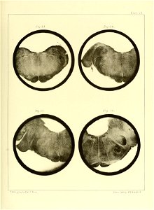 n118_w1150